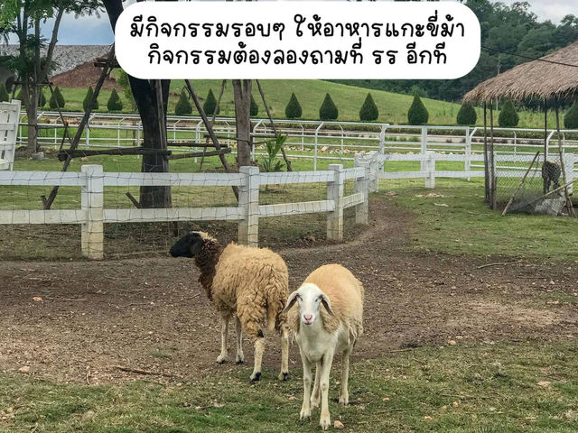 ที่พักเขาใหญ่ สไตล์ปราสาทเจ้าหญิง