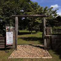 Sawanbondin Tea House & Experience