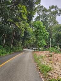 First Valley Coffee Estate | Chiangmai 