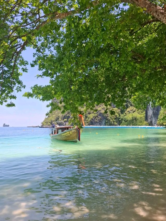 Island Bliss