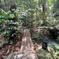 🍃Post-Hike Treat at Hill & Heal Café – A Hidden Gem in Kluang!🌿