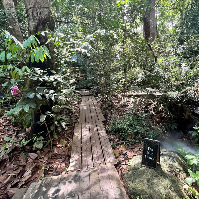 🍃Post-Hike Treat at Hill & Heal Café – A Hidden Gem in Kluang!🌿