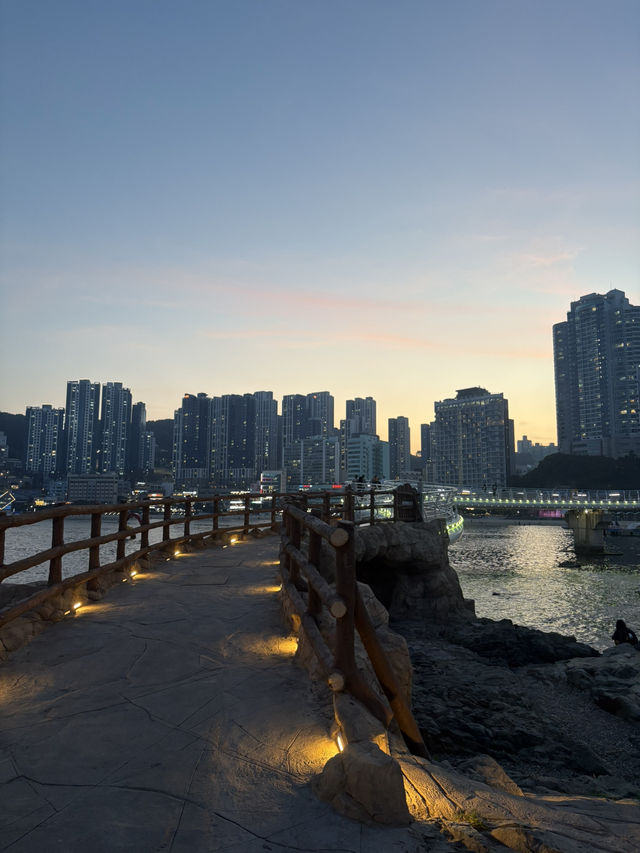 부산 해수욕장 옆의 화려한 산책로 🌊