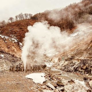 ❄️ Solo Adventure: Jigokudani Monkey Park – Where Snow Monkeys Soak in Hot Springs