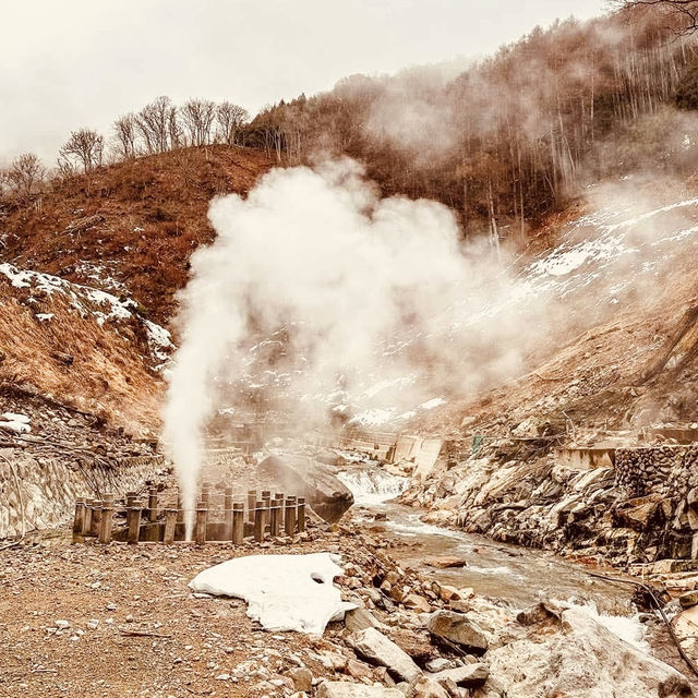❄️ Solo Adventure: Jigokudani Monkey Park – Where Snow Monkeys Soak in Hot Springs