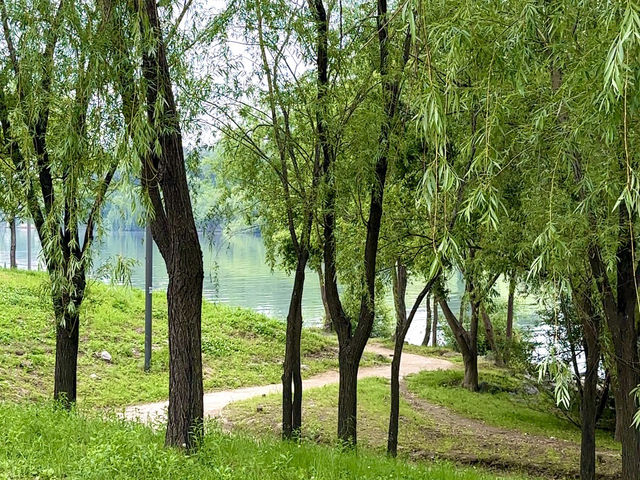 돗자리 하나면 충분해! 양화한강공원 피크닉💚