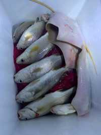 FUN FISHING AT PULAU INDAH 