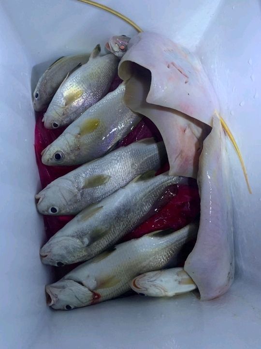 FUN FISHING AT PULAU INDAH 