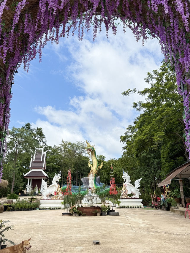 วัดอุทยานธรรมหนองบัวแดง ถ้ำนาคา เขมราฐ