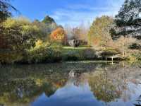 🖼️ Brick Bay Wines & Sculpture Trail — 藝術與自然的完美交融