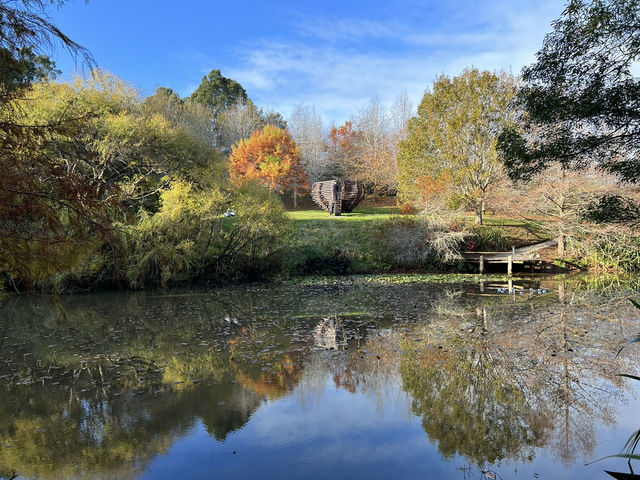 🖼️ Brick Bay Wines & Sculpture Trail — 藝術與自然的完美交融