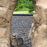 Alabaster Caverns State Park – Freedom, OK