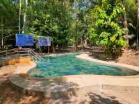 Hot Tubs, But Make It Jungle