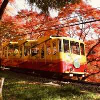 Conquer Mount Takao: Tokyo’s Best Summer Escape for Solo Adventurers"** 🌿⛰️