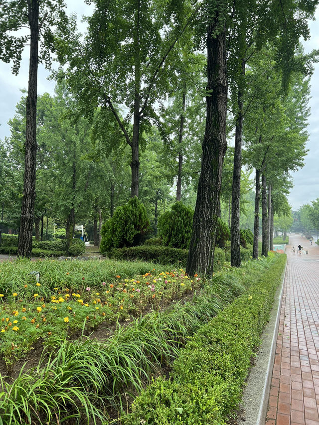 공원 산책길