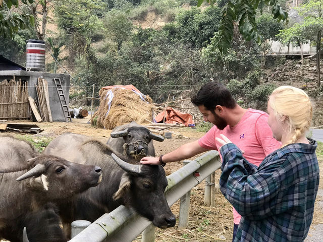 Taste the Land, Touch the Soul