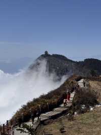 1 Day trip to the sacred Mt. Emei 