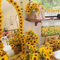 ☕🌿 Hansacafe.food.garden - นนทบุรี 🌿☕