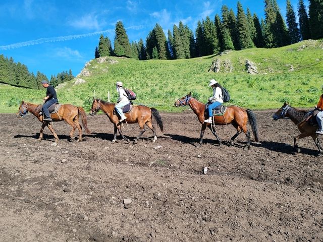 Pastoral Melody: A Serendipitous Horseback Adventure