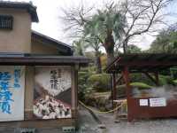 ♨️ เที่ยวBeppu Jigoku ที่ฟุกุโอกะ!