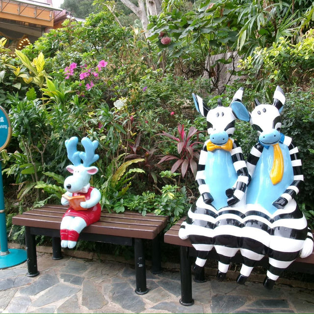 Ocean Park HongKong 🦭