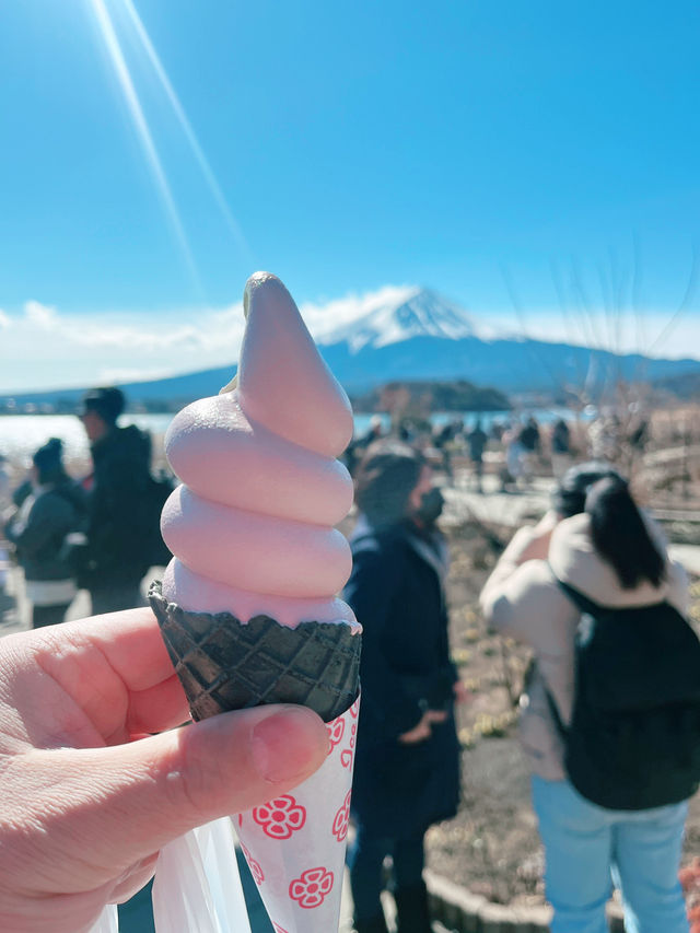 富士山河口湖