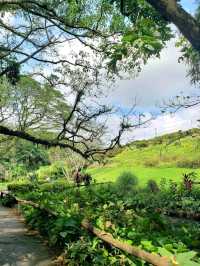 La Mesa Ecopark: A Green Retreat in Metro Manila