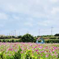 A Refreshing and Affordable Stop on Your Udo Circuit