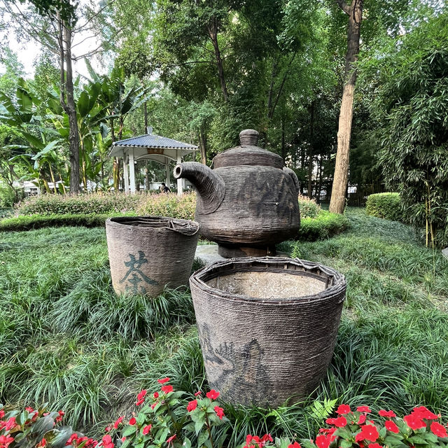 🎋 Chengdu People’s Park 成都人民公园 | A Window into Local Life