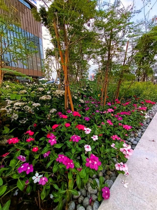 บรรยากาศสวนสวยตึกพาเหรด