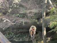 Day trip in zhangjiajie