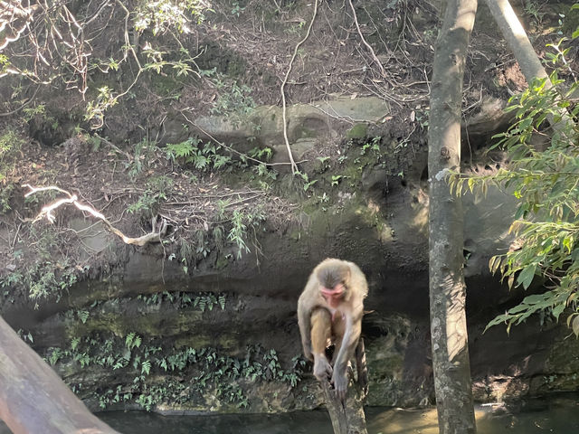 Day trip in zhangjiajie
