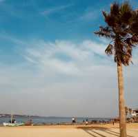Whispers of the Tide: A Beach for Reflection