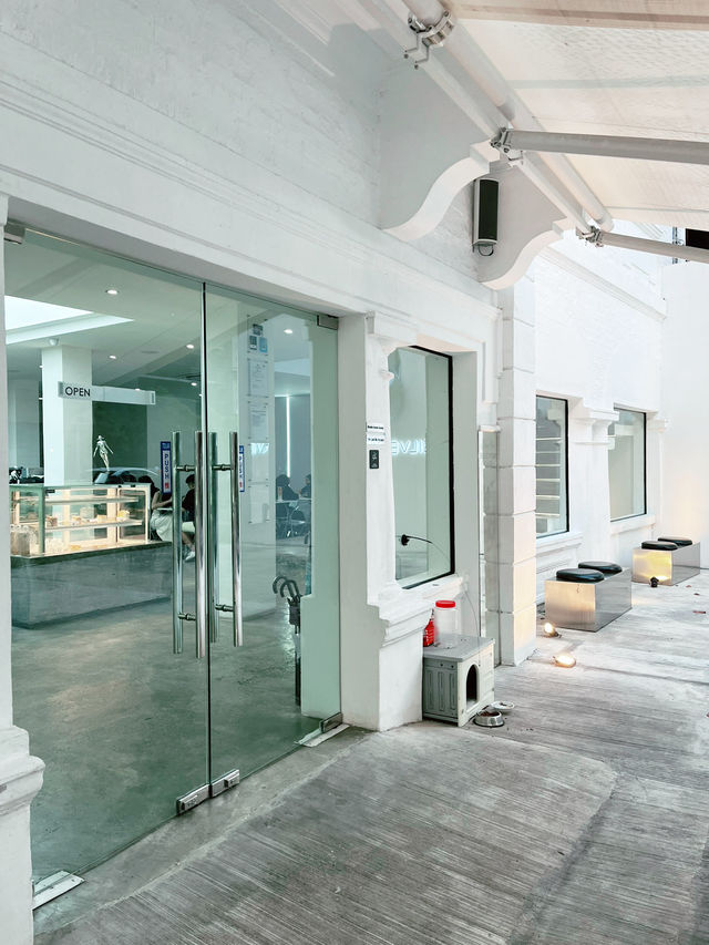 Silverfox Cafe: The Perfect Blend of Coffee and Aesthetic Charm
