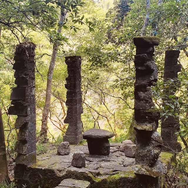 🌿 Let’s Go to Wuyishan (武夷山) – China’s Misty Tea Paradise & Adventure Playground! 🚣♂️