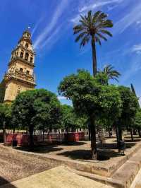 🕌 스페인 – 코르도바 메스키타 대성당 (Mezquita-Catedral de Córdoba)