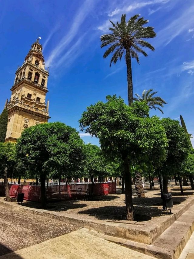 🕌 스페인 – 코르도바 메스키타 대성당 (Mezquita-Catedral de Córdoba)