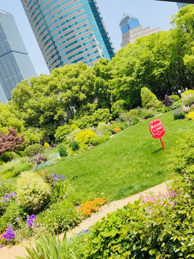 A Serene Green Heart Amidst Shanghai's Skyscrapers A Serene Green Heart Amidst Shanghai's Skyscrapers