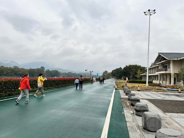 From Guilin to Yangshuo, the Li River cruise was the absolute highlight of our trip—100% worth the 2