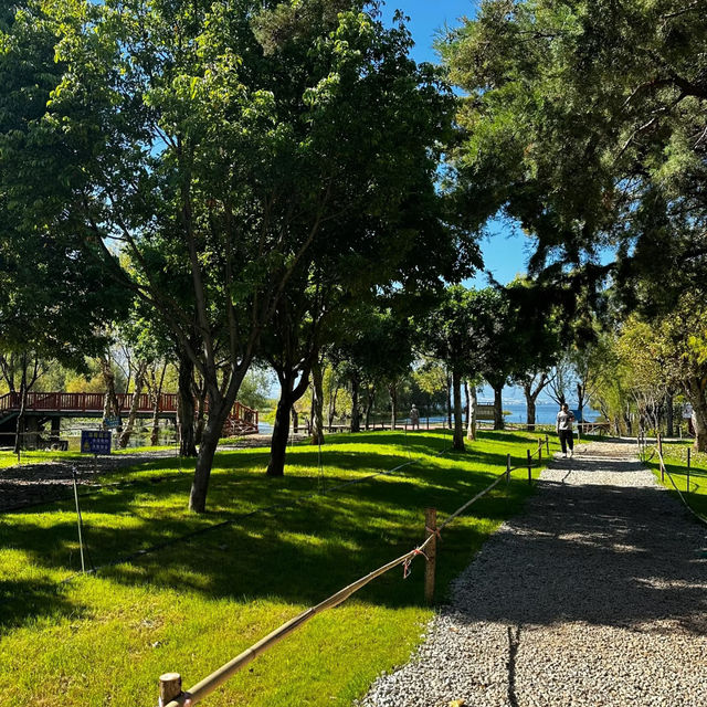 🌈️ 下園公園☁童趣天地 🌈️
