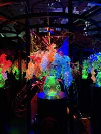【愛知観光】˗ˏˋ 7年ぶりの名古屋開催❗️幻想の金魚アート🏺ˎˊ˗