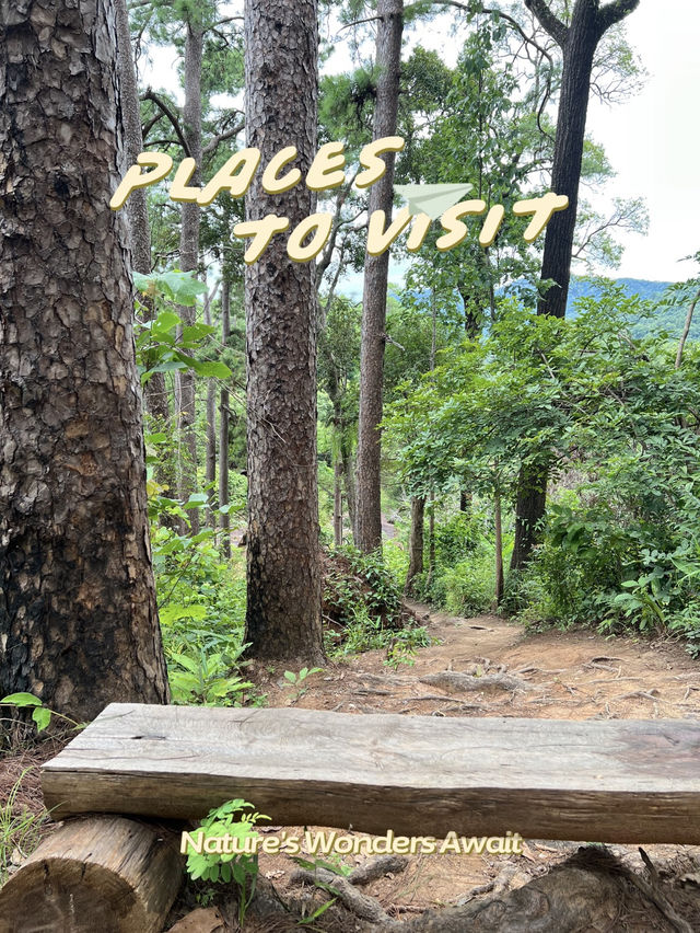 ลานกางเต็นท์ ย.2 ดอยขุนตาล ลานกางเต็นท์ ย.2 ดอยขุนตาล