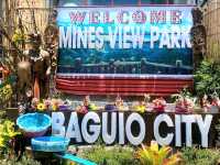Panoramic Charm at Mines View Park