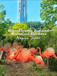 Nature and Wildlife at Higashiyama Zoo and Botanical Gardens