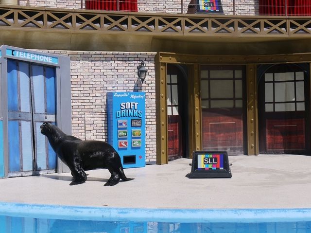 📍 아이들과 가기좋은 샌디에이고 씨월드 (SeaWorld San Diego)