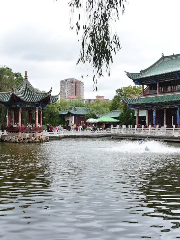 ✈️เที่ยวคุนหมิง Kunming |แพลน 3–4วัน ครบแลนด์มาร์ค