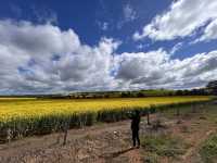 Western Australia-Albany Highway