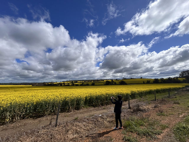 Western Australia-Albany Highway Western Australia-Albany Highway