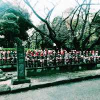 🌸 春の東京散歩 — 東京プリンス芝公園・増上寺・東京タワー
