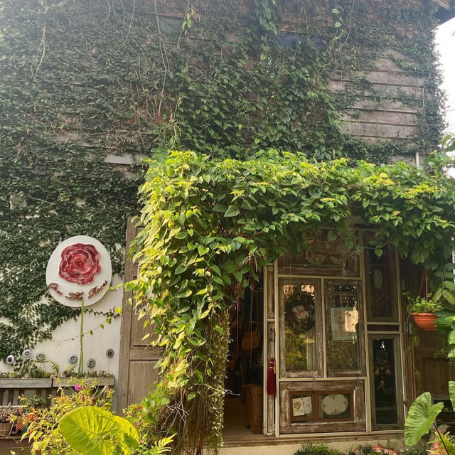 All Day Craft – บ้านข้างวัด, เชียงใหม่ 🏡🌸✨  🕰️  All Day Craft – บ้านข้างวัด, เชียงใหม่ 🏡🌸✨  🕰️